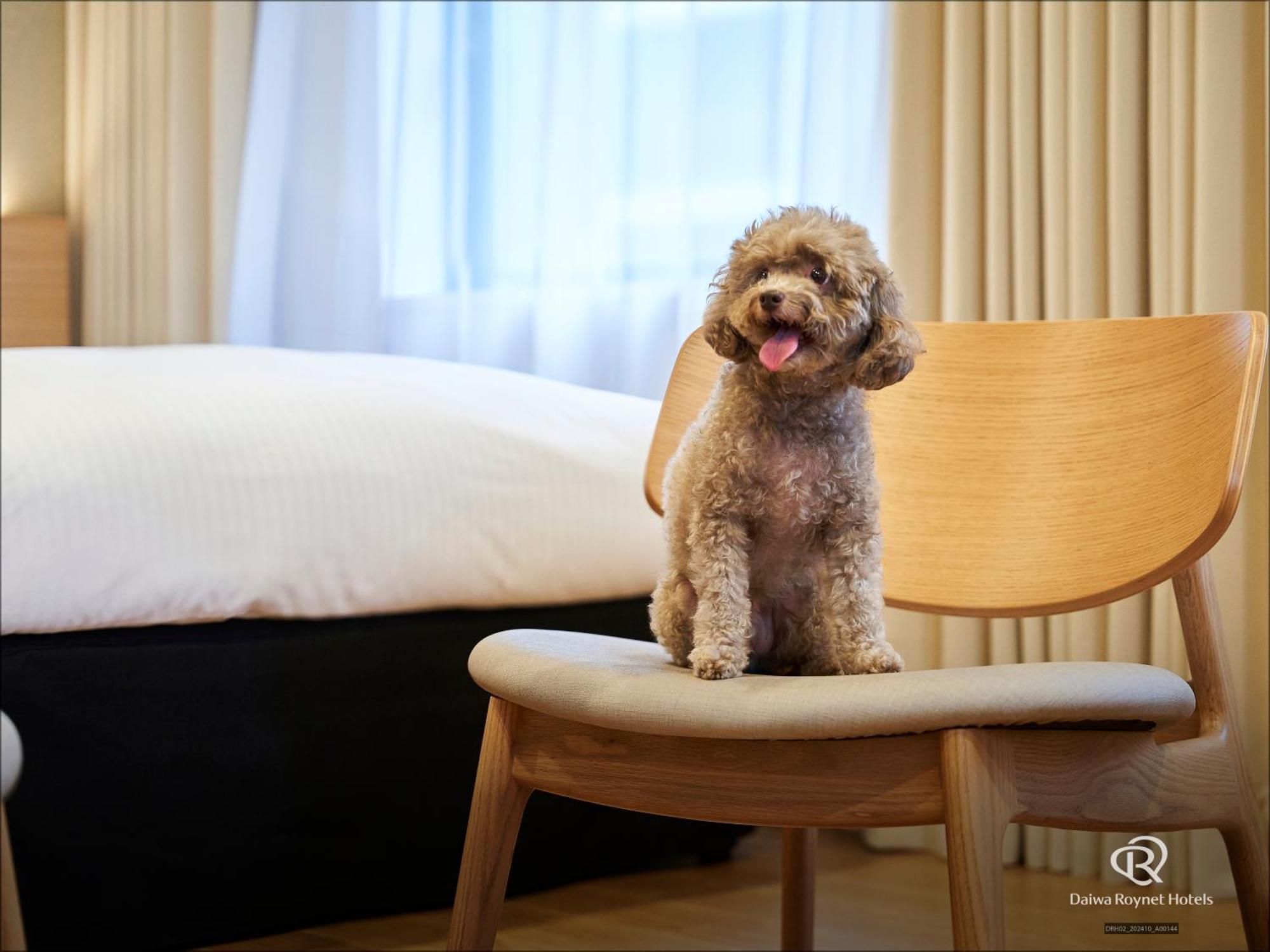 Daiwa Roynet Hotel Yokohama-Koen Yokohama  Eksteriør bilde